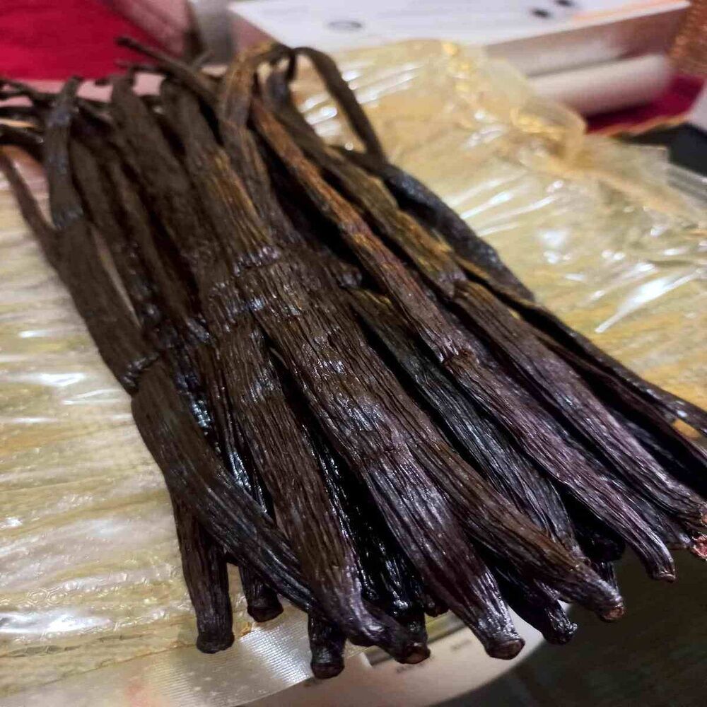 Black Vanilla Bean