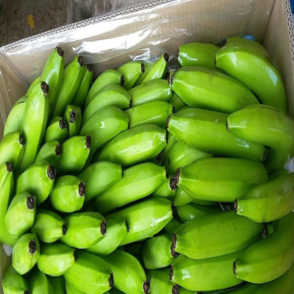 Fresh Green Cavendish banana
