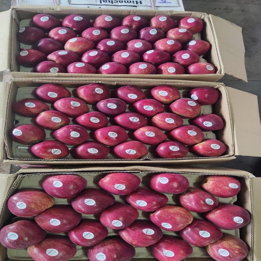 Fresh Apples