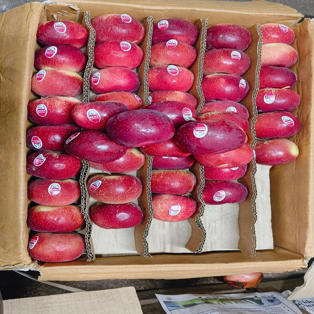 Fresh Apples