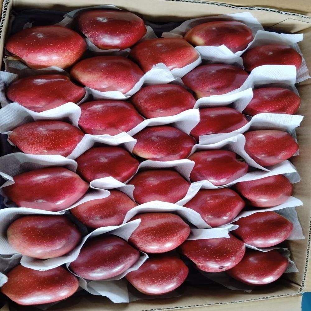 Fresh Apples
