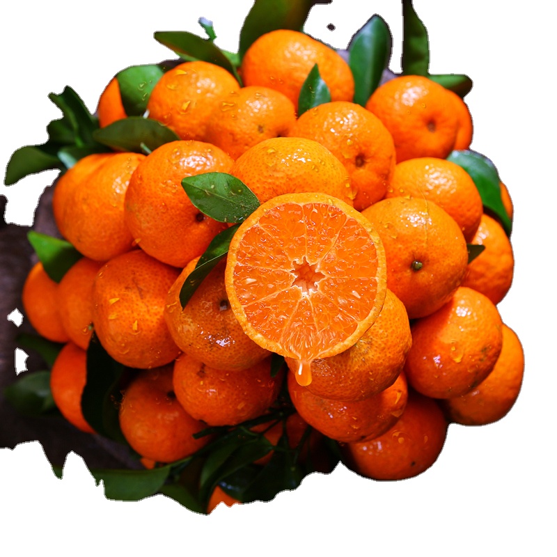 Fresh Mandarin orange Yellow