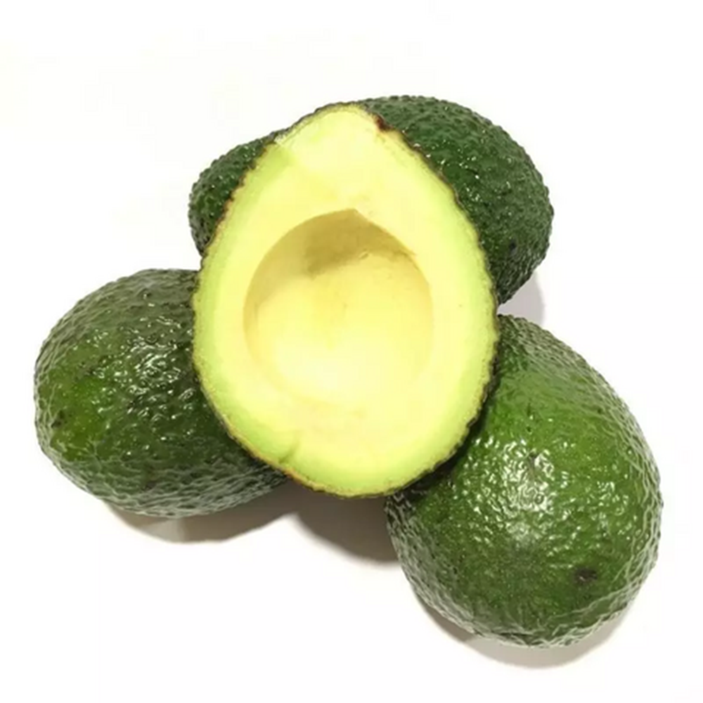 Fresh Avocado