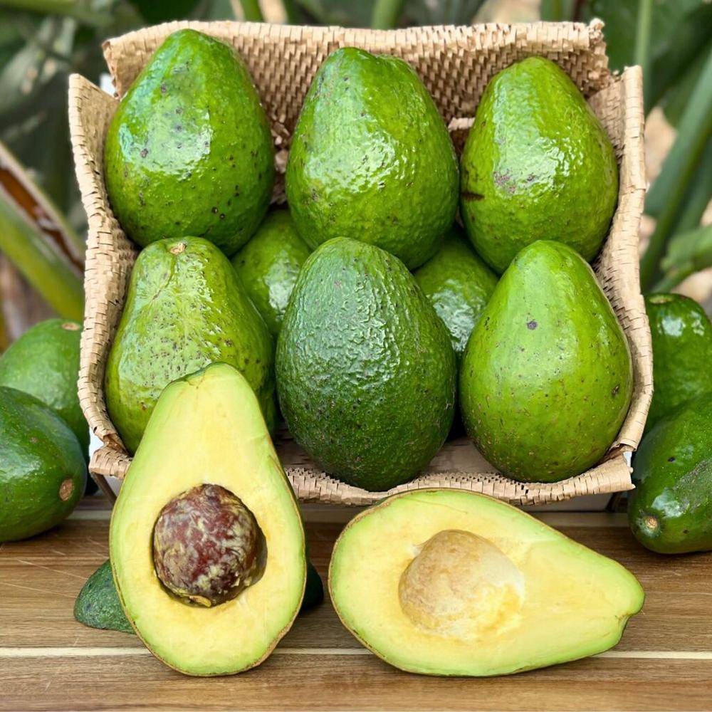 Fresh Avocado
