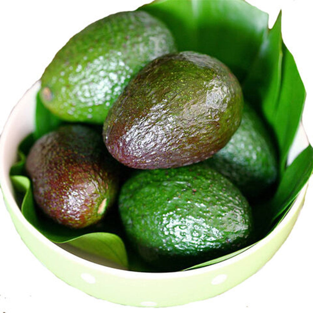 Fresh Avocado