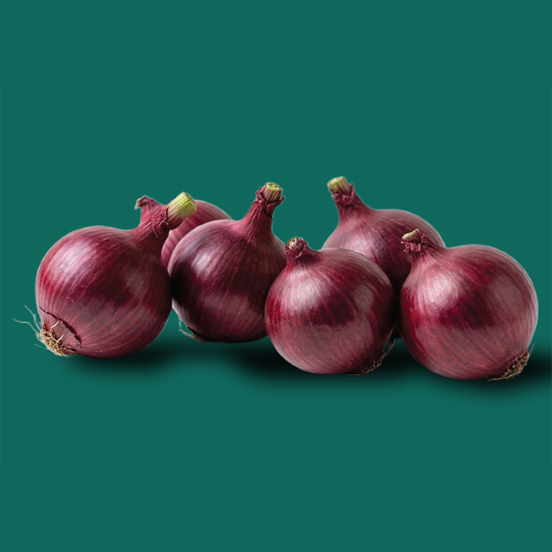 Fresh Onion