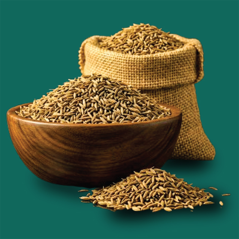 Cumin Seed