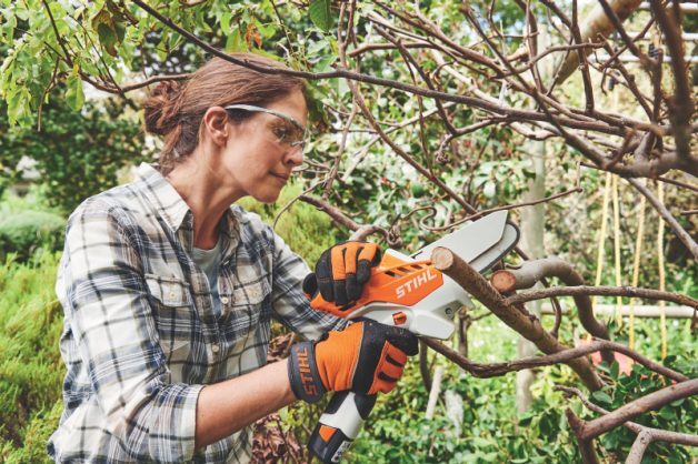 Garden Care And Landscaping