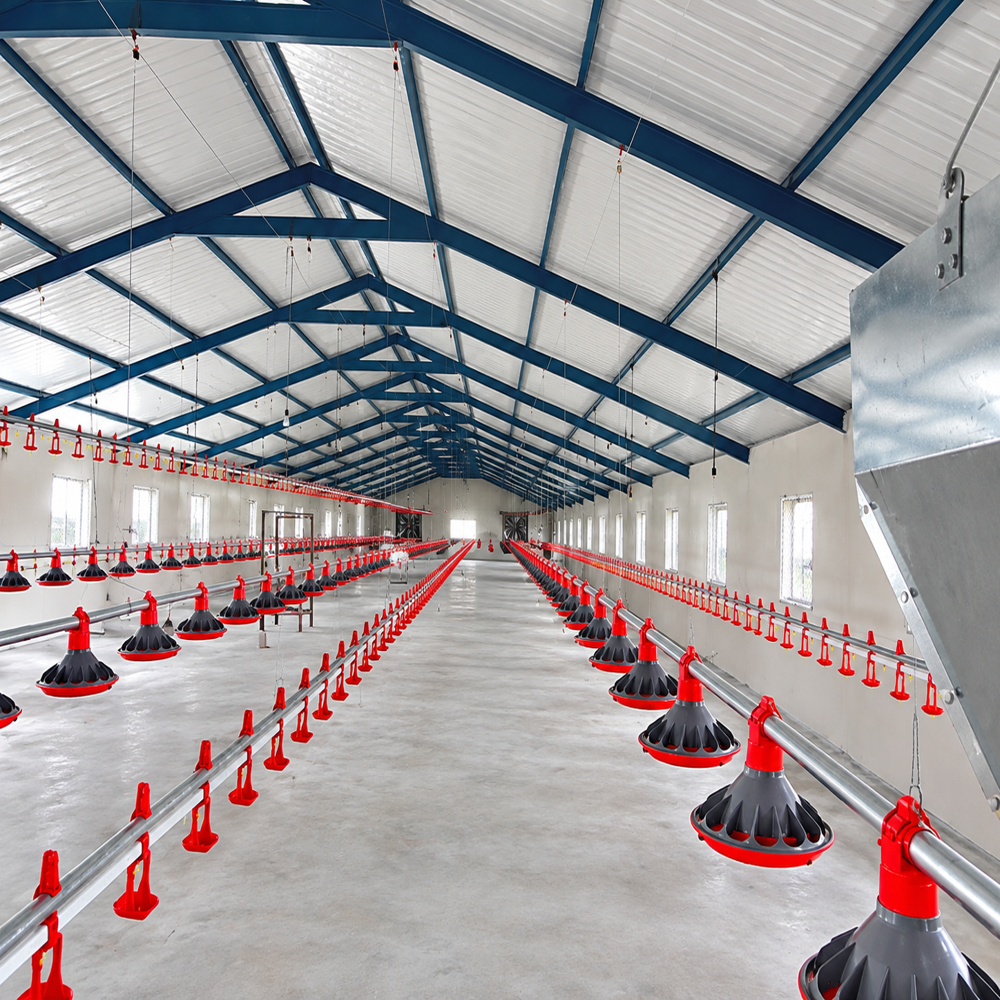 Peb Poultry Shed Structures