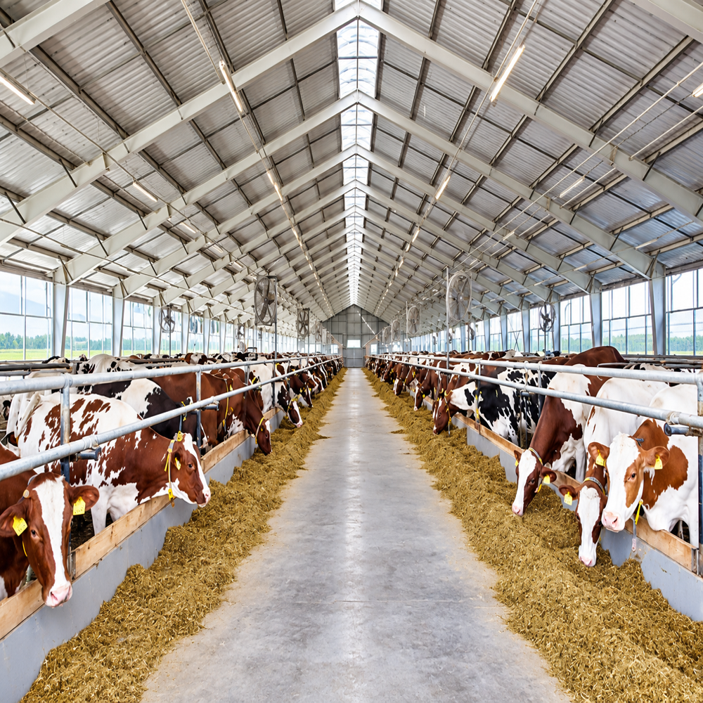 Peb Cattle Shed Structures
