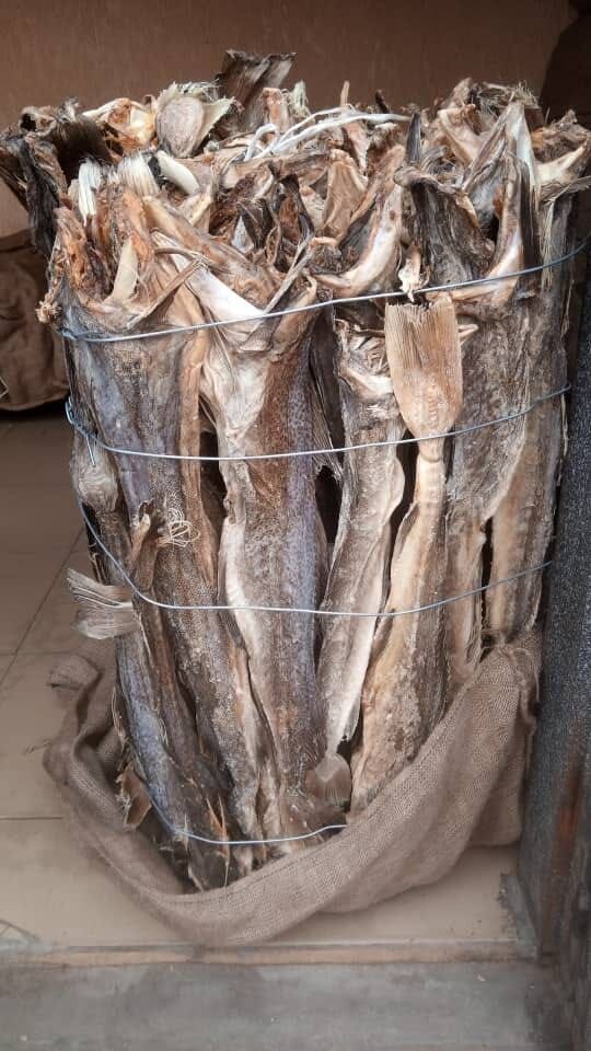 Dried Stock Fish