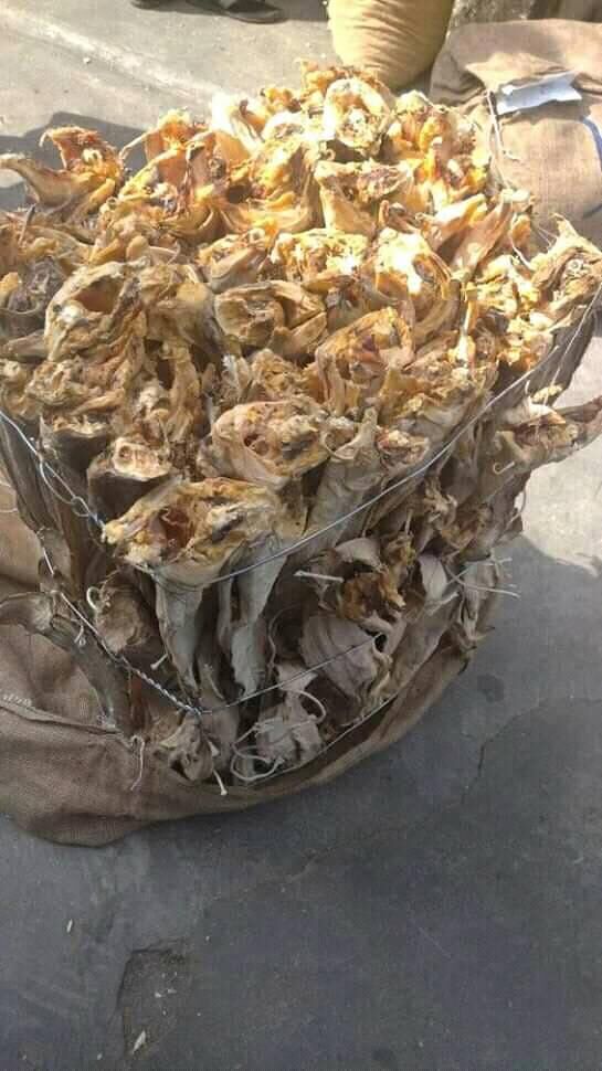 Dried Stock Fish