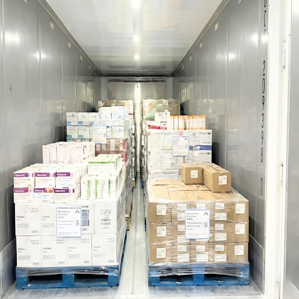 Refurbished Reefer Container for Medicine Storage | +2 to +8 Degree C Refrigerated Container