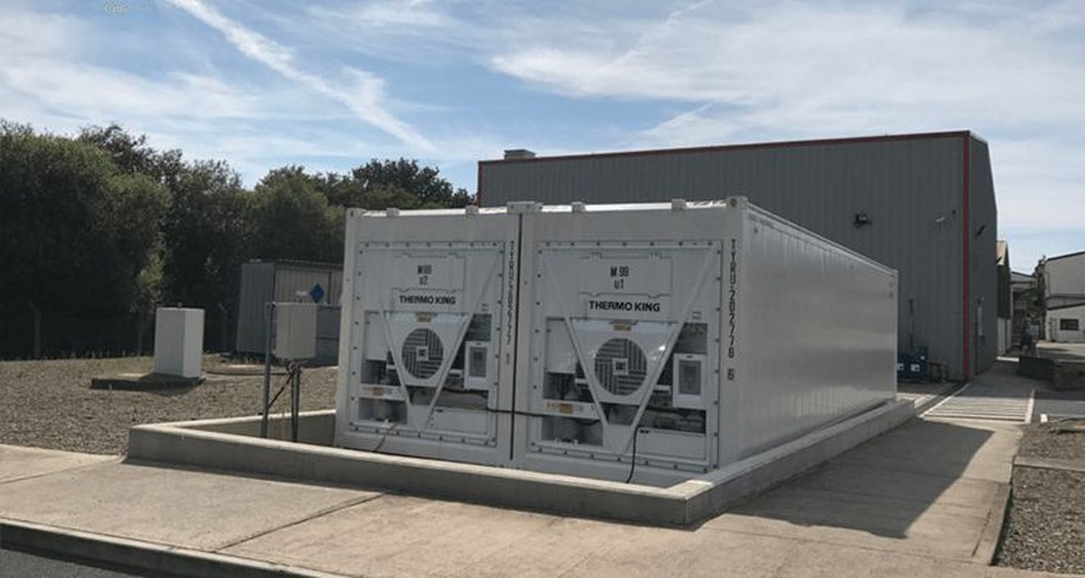 20 Ft ICY Store Refrigerated Container | Multi-Bay Portable Cold Storage for Warehouses & Distribution