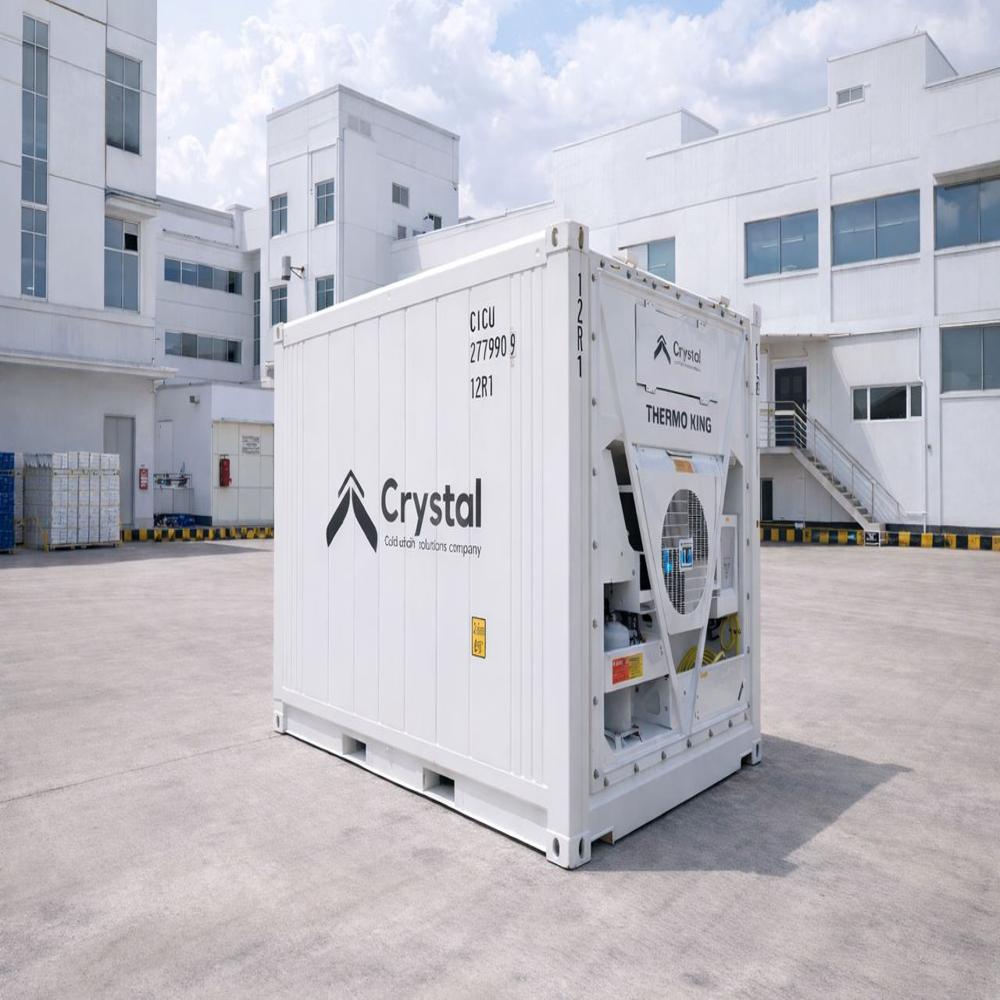 10 Ft Refurbished Reefer Container for Fruits & Vegetable Storage | Mobile Cold Storage Unit