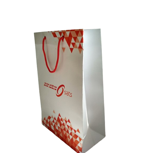 Paper Bag