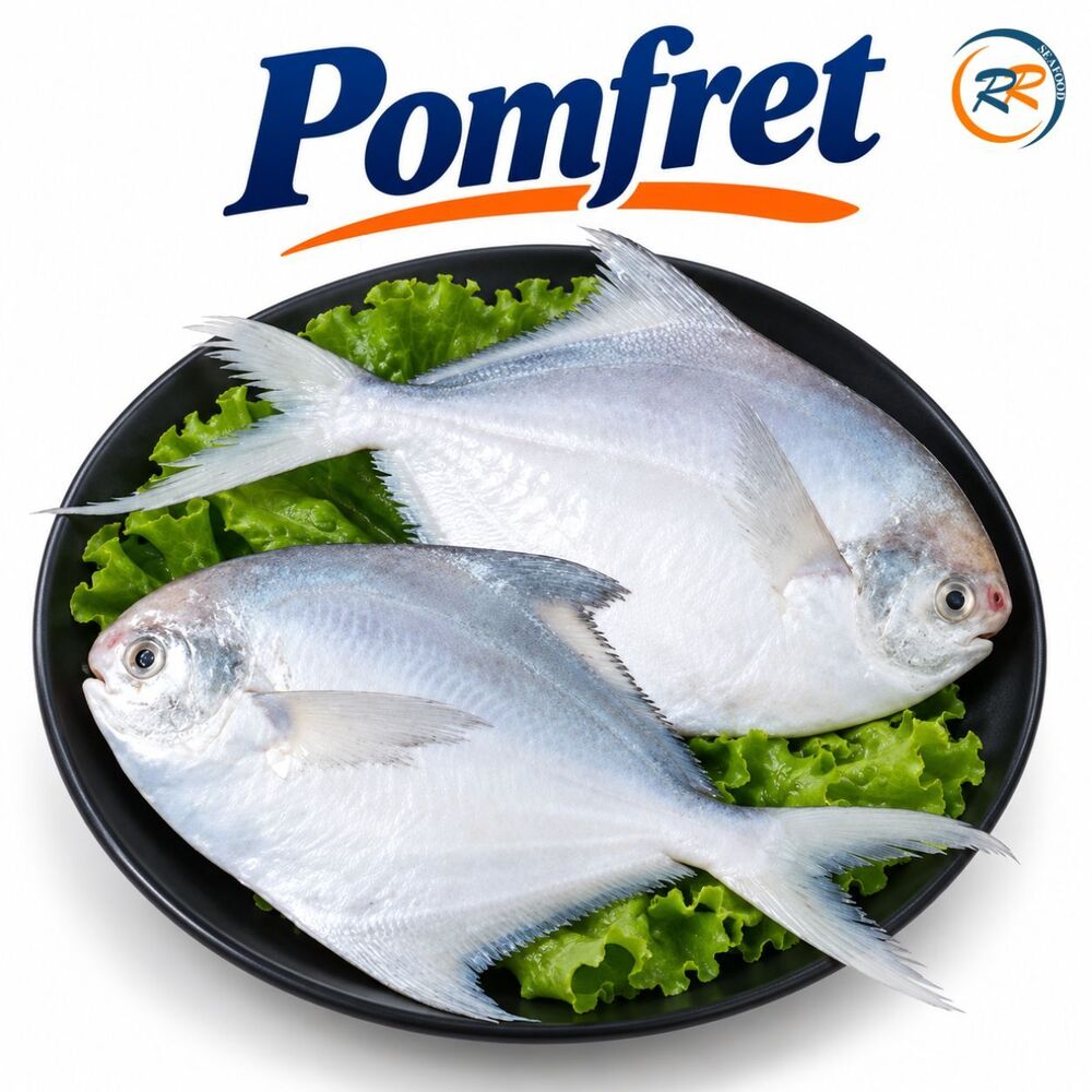80-100 Silver Frozen Pomfret