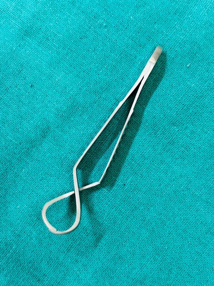 Towel Clip