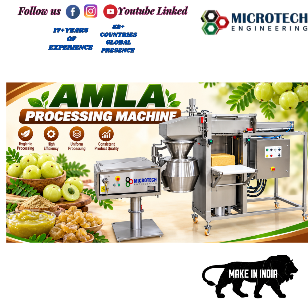 Amla Processing Machine
