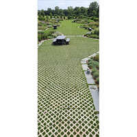 Grass Pavers