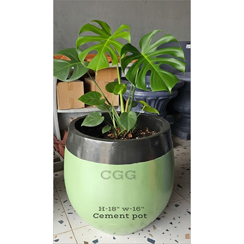 Flower Pot