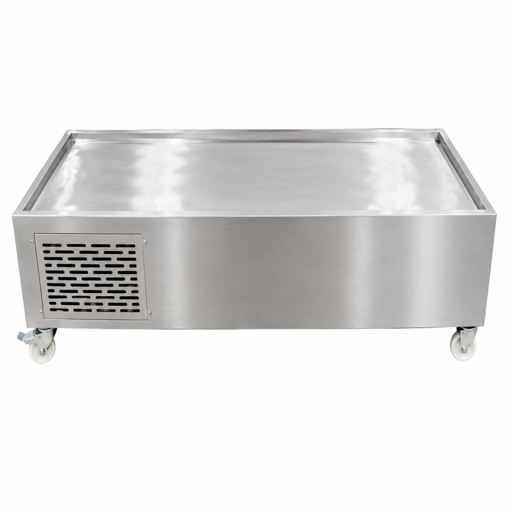 Stainless Steel Dead Body Freezer