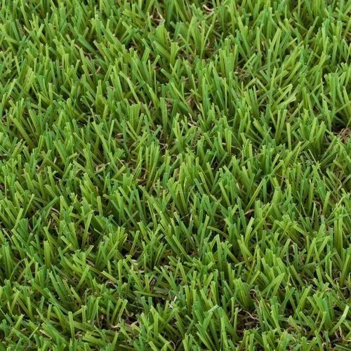 Artificial Grass Turf