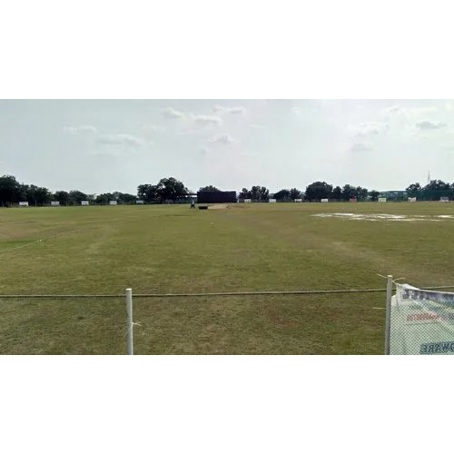 Natural Grass For Cricket Ground