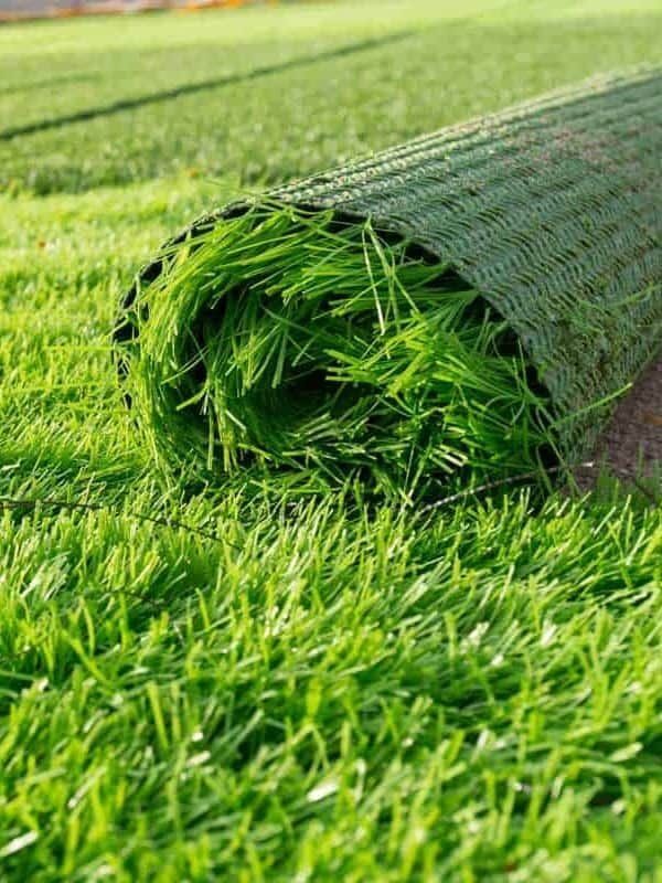 Fake Lawn