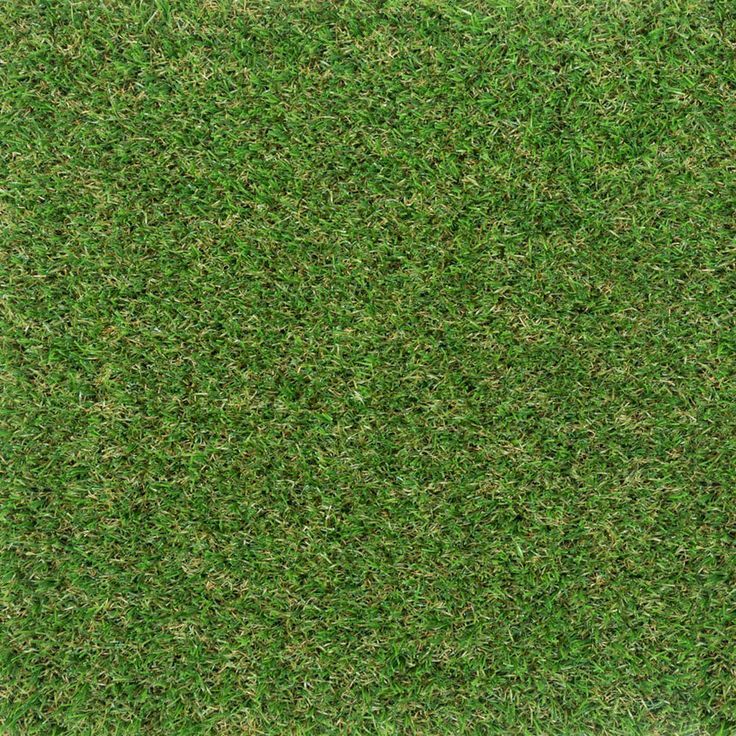 Artificial Turf