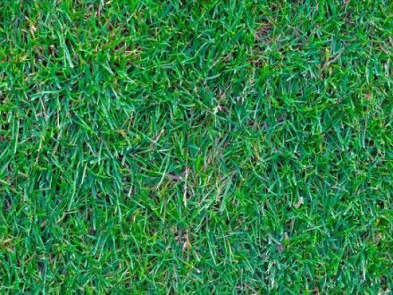 Artificial Turf