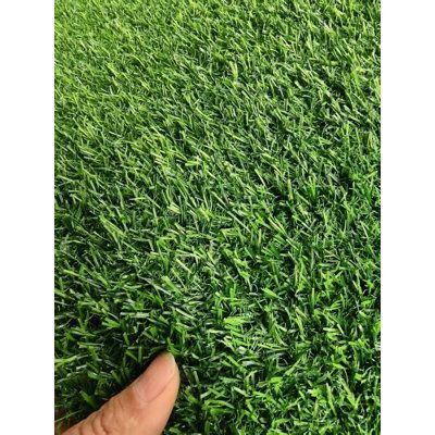 Plastic Grass