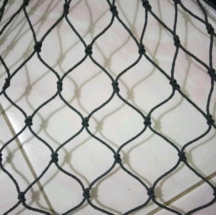Safety Net