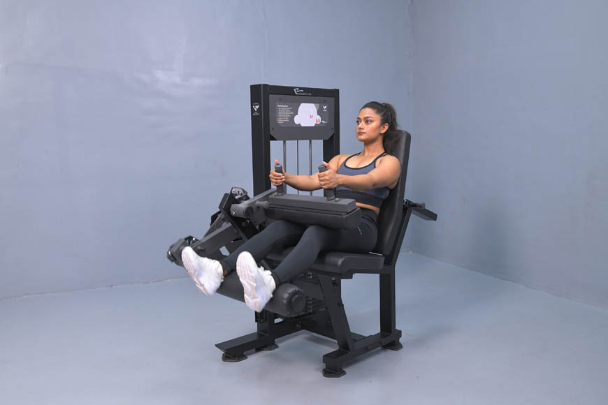 Seated Leg Curl