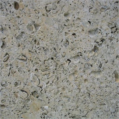 चूना पत्थर जिसमें शेल्स हैं