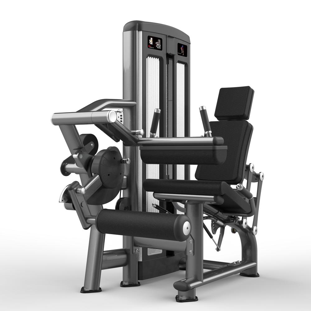 Seated Leg Curl