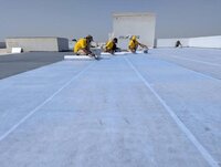 TPO Membrane waterproofing services