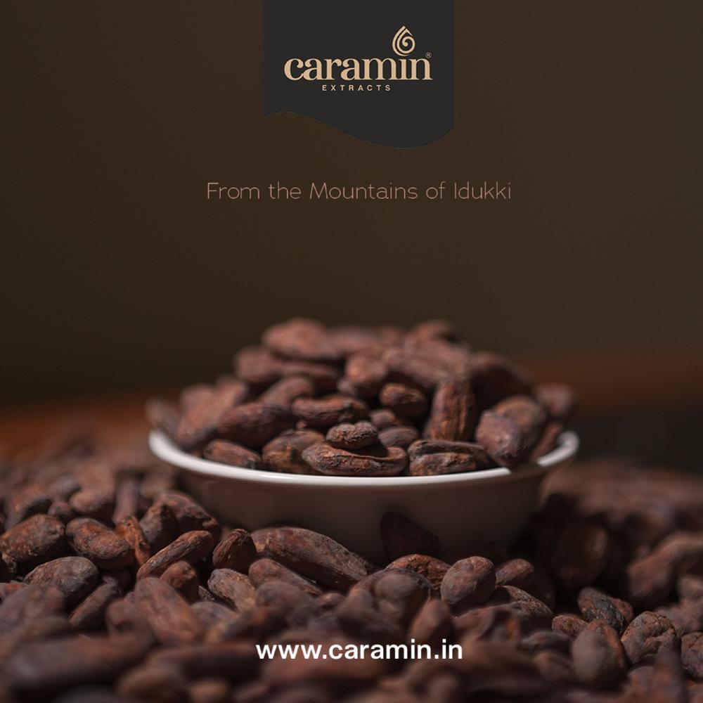 Idukki Origin Beans for Chocolate making