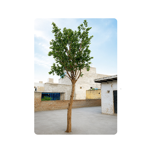 TP-59 Artificial Ficus Tree