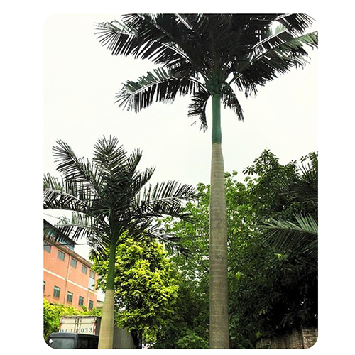 DT-17 23Feet Plam Tree For Outdoor