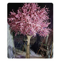 CB-50 15Feet Blossom Tree