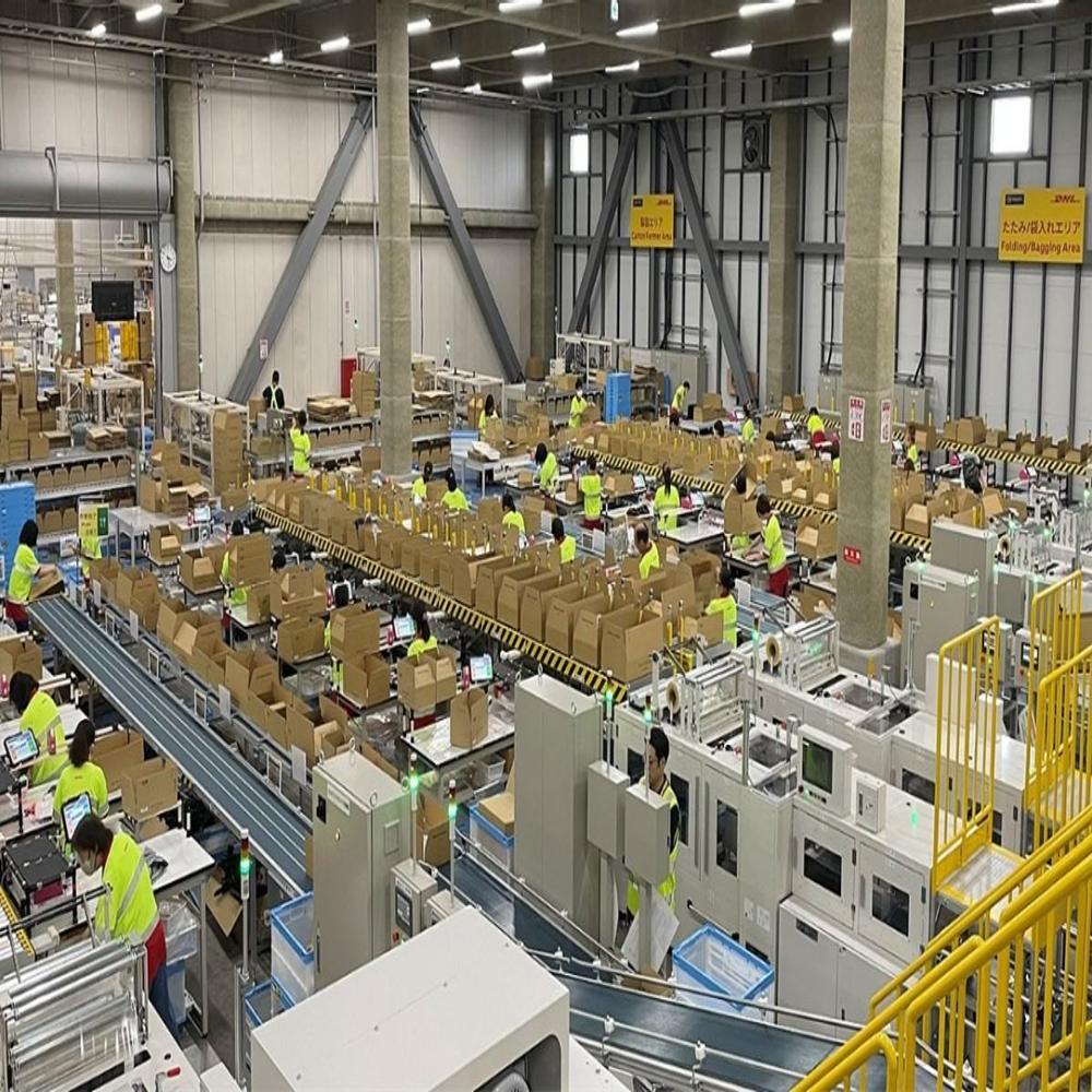 Packaging Automation Services