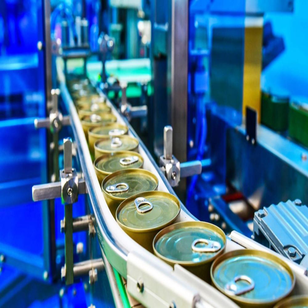 Packaging Automation Services
