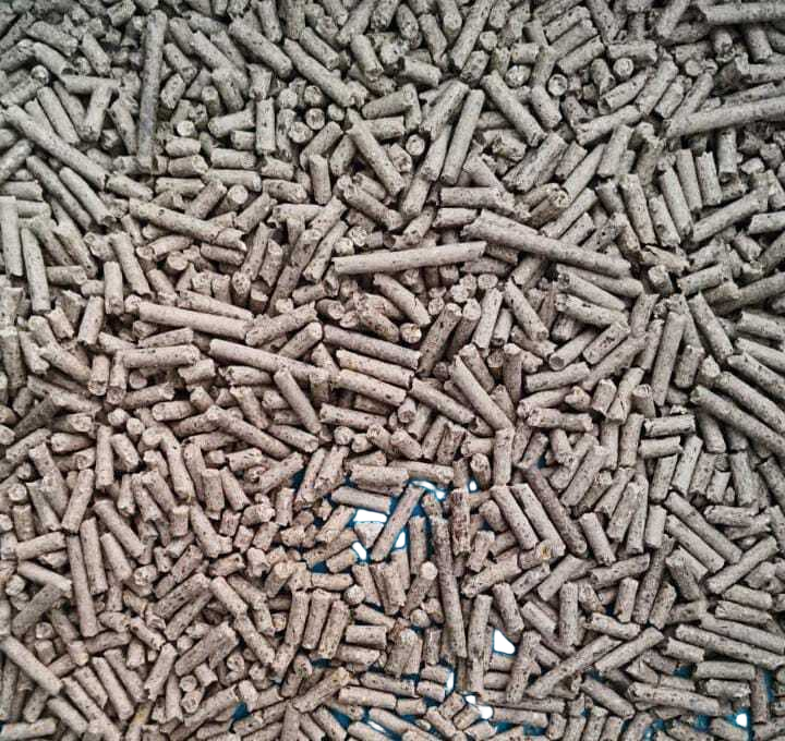 Cattle Feed