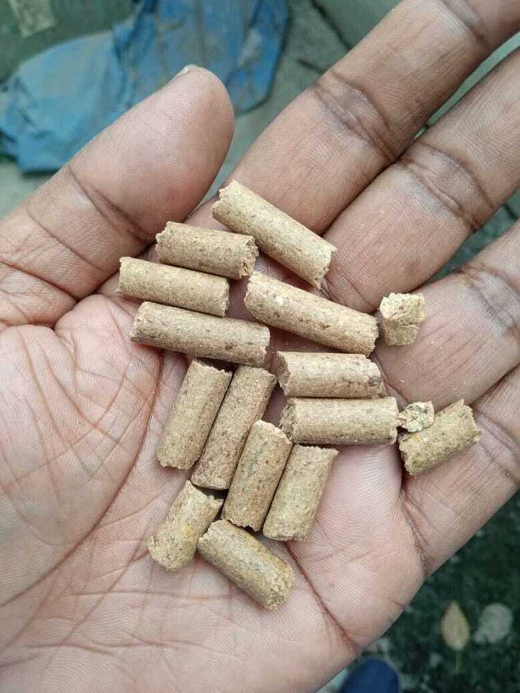 Cattle Feed