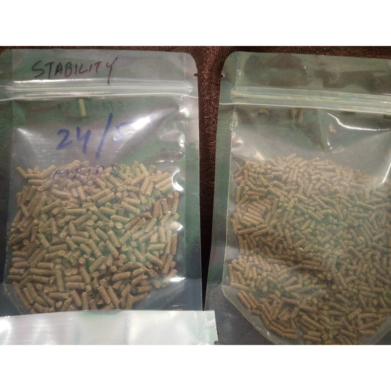 Fish Feed