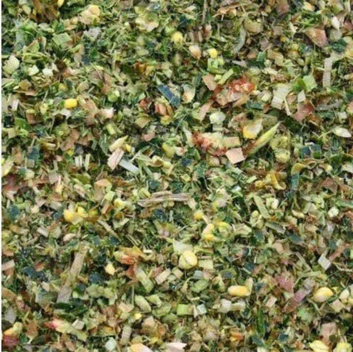 Corn Silage