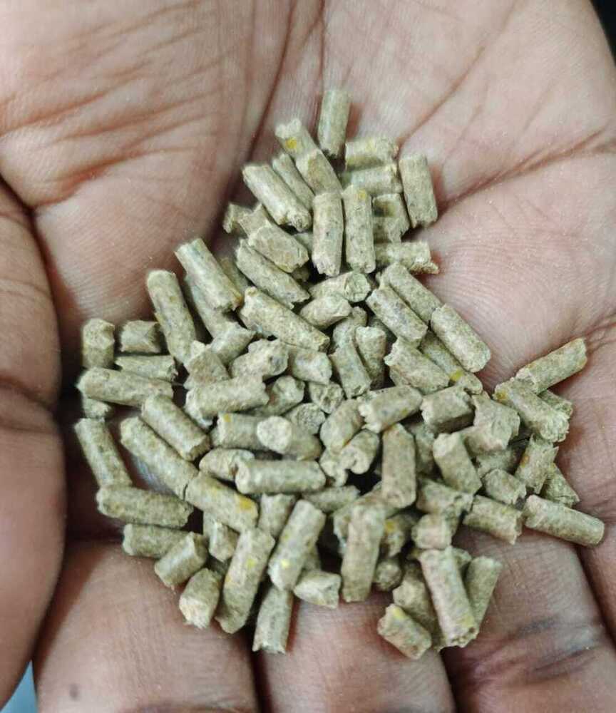 Pig Feed