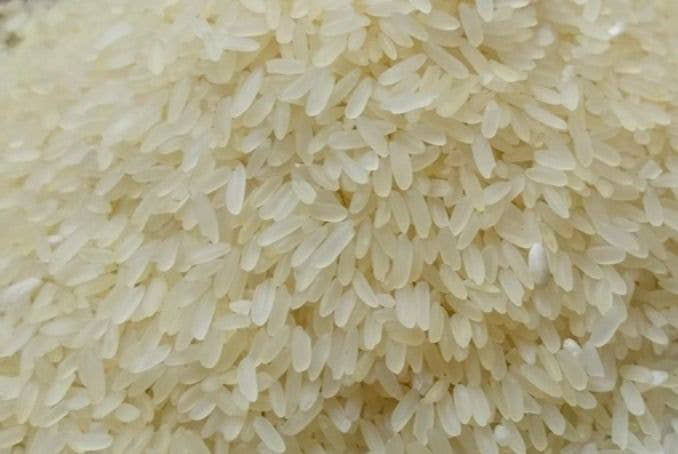 Sona Masoori Sella Rice
