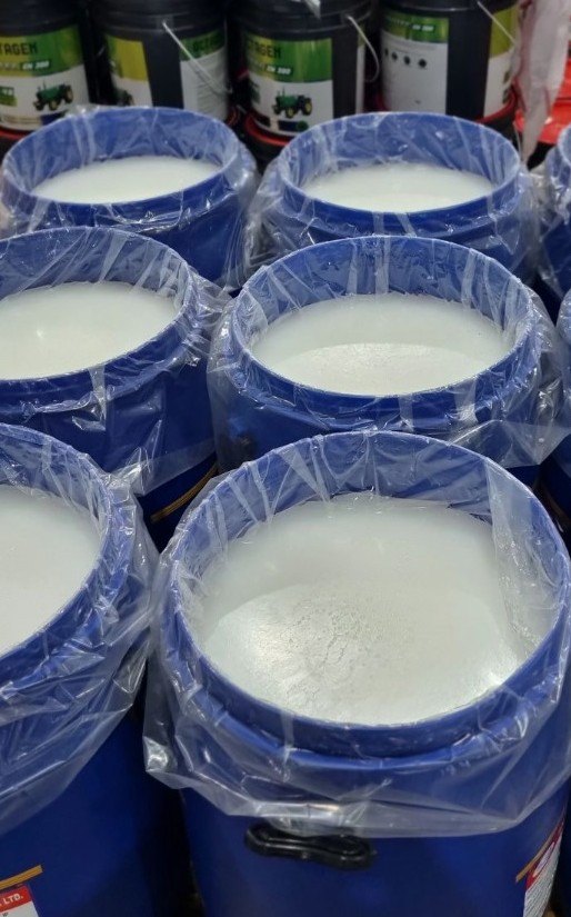 Petroleum Jelly